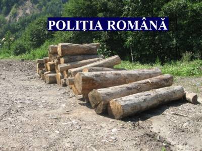 SUCEAVA: Confiscări de material lemnos, ZCH NEWS - sursa ta de informații
