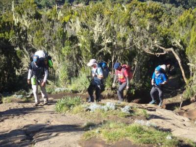 SUCEAVA: Kilimanjaro cucerit de 4 suceveni, ZCH NEWS - sursa ta de informații