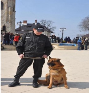 Edav- câinele care a salvat o fetiţă de 3 ani, ZCH NEWS - sursa ta de informații