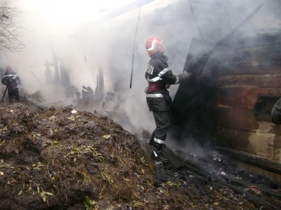 Incendiu provocat cu intenţie! &#8222;Victime&#8221;: două vaci şi un porc!, ZCH NEWS - sursa ta de informații