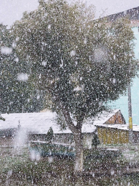 ACTUALIZARE Prima ninsoare din acest sezon FOTOGRAFII PIATRA-NEAMŢ şi BICAZ, ZCH NEWS - sursa ta de informații