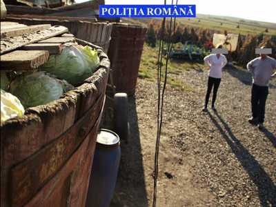 10 tone de varză furată de pe câmp, recuperată de poliţişti, ZCH NEWS - sursa ta de informații