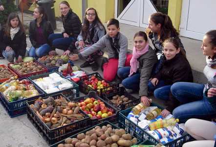 Marea colectă de legume și fructe în școli, ZCH NEWS - sursa ta de informații