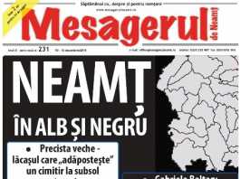 MESAGERUL DE NEAMŢ 231