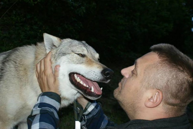 PUNCT DE VEDERE: scandalul câinilor de stână este fals!
