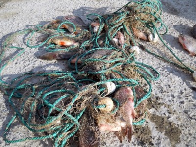Pescari penali pe Lacul Vaduri, ZCH NEWS - sursa ta de informații
