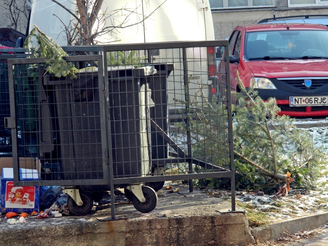 „Obicei străbun” &#8211; aruncatul brazilor la gunoi, ZCH NEWS - sursa ta de informații