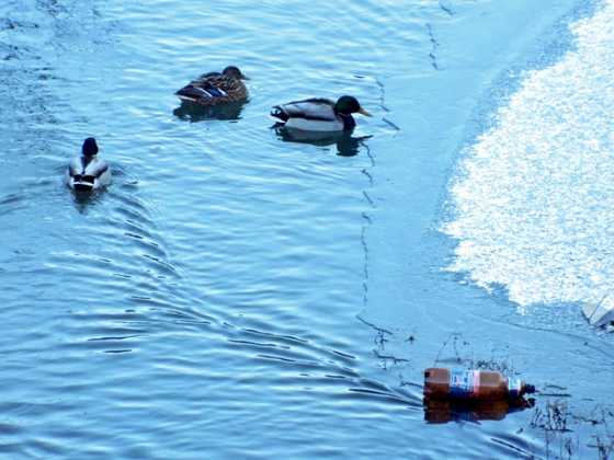 Bicaz : Întâlnirea a două lumi paralele, pe firul râului Bistrița GALERIE FOTO, ZCH NEWS - sursa ta de informații