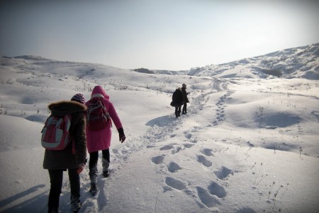 Școlile din Neamț sub asediul iernii, ZCH NEWS - sursa ta de informații