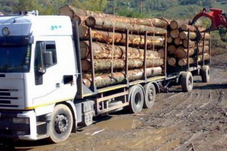 La Grinţieş continuă jaful pădurilor, ZCH NEWS - sursa ta de informații