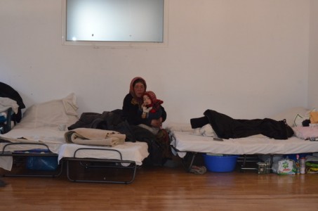 Număr record de amărâți la adăpostul din Speranța, ZCH NEWS - sursa ta de informații
