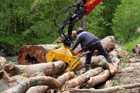 Criza lemnului în România: Șeful Romsilva a demisionat, producătorii de mobilă rămân cu speranța, ZCH NEWS - sursa ta de informații