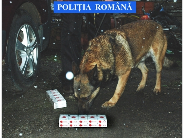 Odek a mai „fumat” 12.000 de ţigări