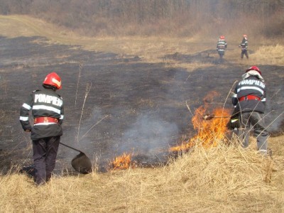Pădurea din Târpeşti în pericol să ia foc, ZCH NEWS - sursa ta de informații