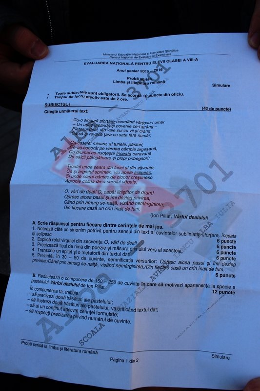 Simulare evaluare națională. Subiectele la ”Limba și literatura română”