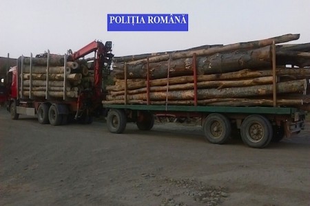 Lemn și mașini confiscate, amenzi de 10.000 lei pentru transport ilegal de lemn, ZCH NEWS - sursa ta de informații