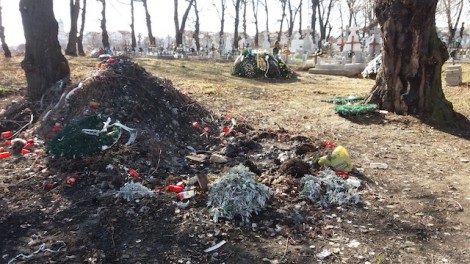 Târgu-Neamț: Cimitirul gunoaielor, ZCH NEWS - sursa ta de informații