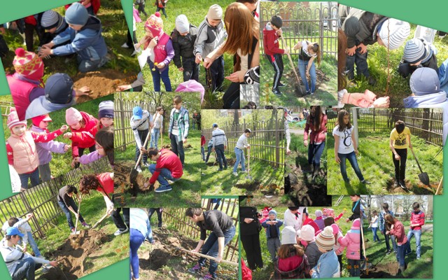 Luna plantării arborilor 2016