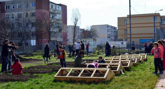 Prima grădină pedagogică într-o școală publică din România GALERIE FOTO, ZCH NEWS - sursa ta de informații