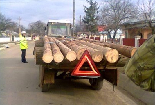 Pădure la metru cub, confiscată din camioane