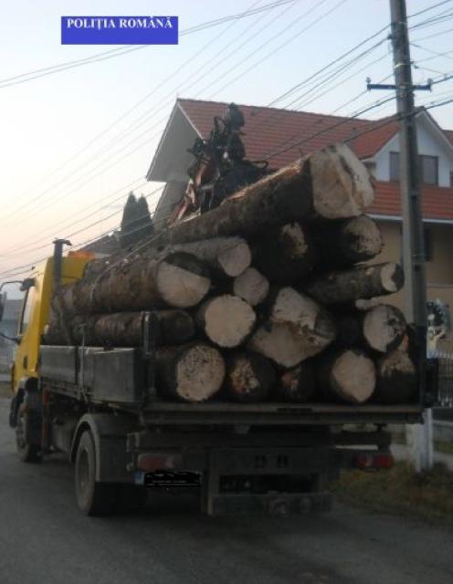 Polițiștii au confiscat lemne și bani, ZCH NEWS - sursa ta de informații