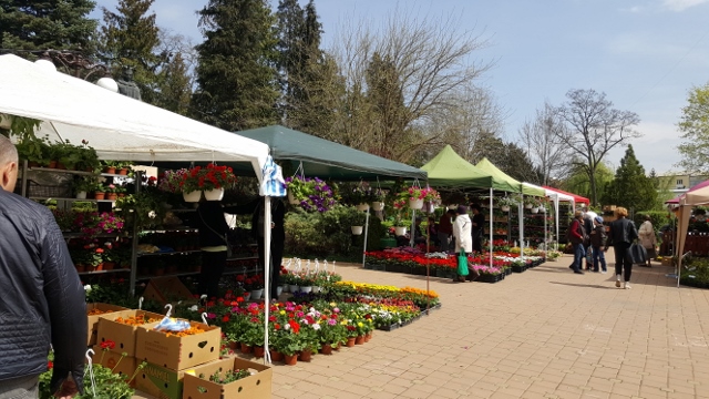 Târgul de flori de la Piatra Neamț, inaugurat pentru public, ZCH NEWS - sursa ta de informații
