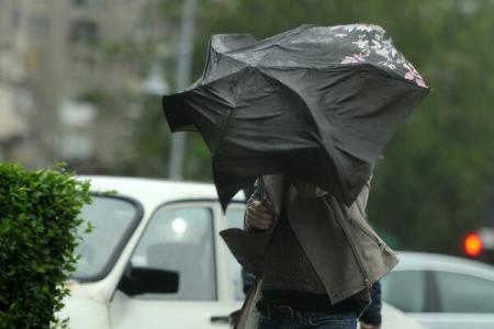 ANM: Cod galben de vânt puternic în Neamţ, Iaşi, Vaslui, Botoşani, Bacău şi Suceava