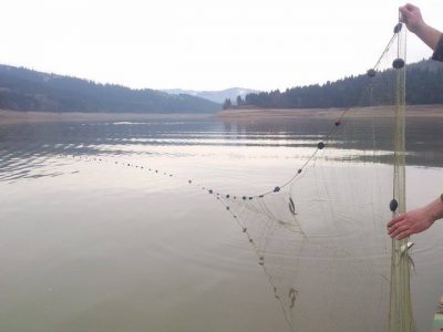 Braconaj piscicol pe râul Prut, ZCH NEWS - sursa ta de informații