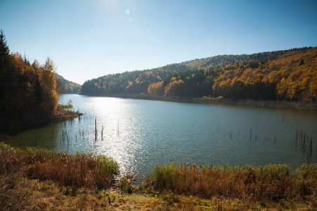 Pescuitul recreativ/sportiv interzis pe Lacul Cuejdel!, ZCH NEWS - sursa ta de informații