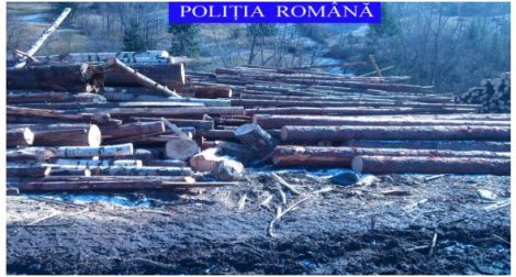 În 2016, poliţiştii nemţeni au recuperat lemn de 980.000 lei, ZCH NEWS - sursa ta de informații