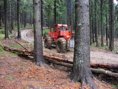 SUCEAVA: Se caută şef la Garda Forestieră, ZCH NEWS - sursa ta de informații