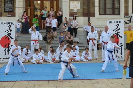 Clubul sportiv Musashi Ju Jutsu Piatra Neamţ va participa la CAMPIONATUL MONDIAL DE ARTE MARŢIALE ”World Martial Games XVI”, iulie 2016, Germania, ZCH NEWS - sursa ta de informații