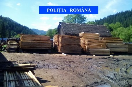 Poliţia a „deranjat” afacerile cu lemn: 240 mc confiscaţi, ZCH NEWS - sursa ta de informații