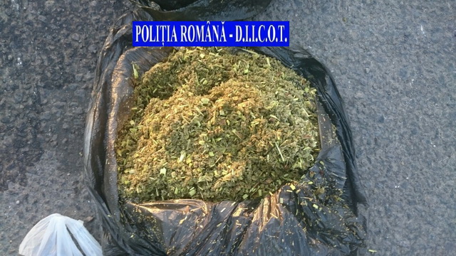 FOTOGRAFII Lovitură pe piața drogurilor din Neamț și Bacău, ZCH NEWS - sursa ta de informații