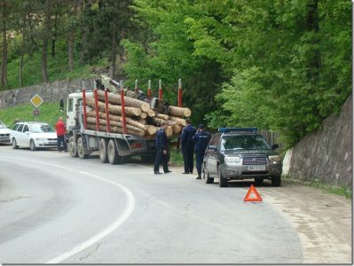 Jandarmii se „luptă” cu jefuitorii de păduri, ZCH NEWS - sursa ta de informații