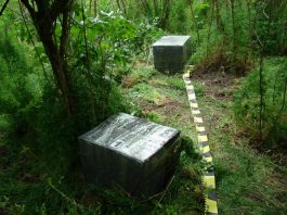 Ţigări de 68.000 lei descoperite pe malul Prutului