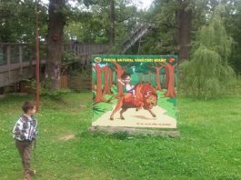 GALERIE FOTO Vânători-Neamț – Ziua Zimbrului