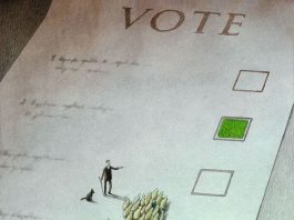 ALEGERI 2016: Când începe campania electorală? Cât ne costă scrutinul?