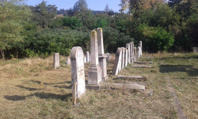 FOTOGRAFII PMP a făcut curățenie generală în cimitirul evreiesc, ZCH NEWS - sursa ta de informații