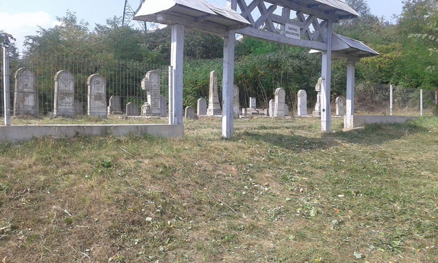 FOTOGRAFII PMP a făcut curățenie generală în cimitirul evreiesc, ZCH NEWS - sursa ta de informații