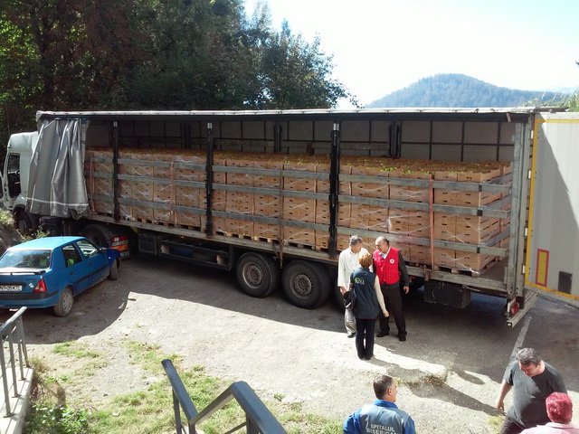 19 tone de mere donate de Crucea Roşie Neamţ, ZCH NEWS - sursa ta de informații