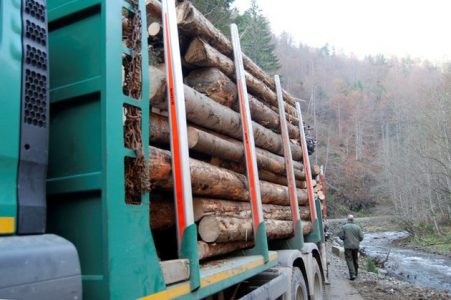 lemne-camion
