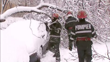 Prima ninsoare a lăsat 19 localități fără curent și a rupt 7 arbori, ZCH NEWS - sursa ta de informații