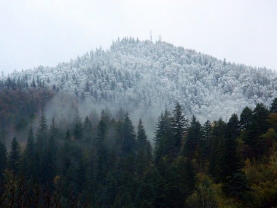 ACTUALIZARE Avertizare de ninsori în Neamţ şi Suceava până la ora 20:30, ZCH NEWS - sursa ta de informații