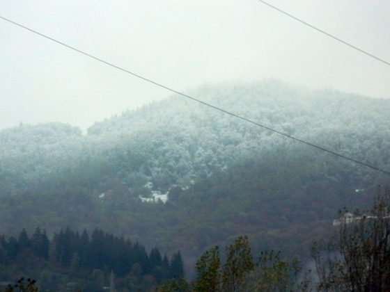 ACTUALIZARE Avertizare de ninsori în Neamţ şi Suceava până la ora 20:30, ZCH NEWS - sursa ta de informații