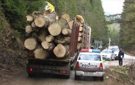 Polițiștii de la Sagna au mai confiscat o mașină cu tot cu lemne, ZCH NEWS - sursa ta de informații