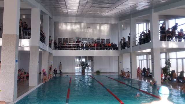 GALERIE FOTO Competiție de înot pentru copii la Târgu-Neamț, ZCH NEWS - sursa ta de informații