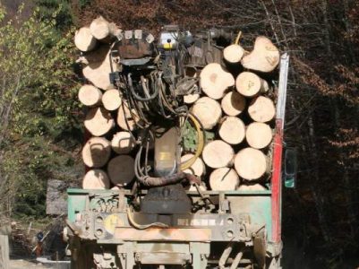 Poliţiştii nemţeni au confiscat 54 mc lemn şi două camioane, ZCH NEWS - sursa ta de informații
