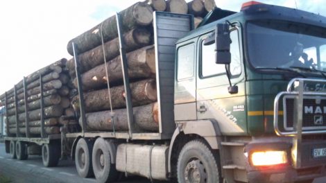 Transport de lemn confiscat, pagubă de peste 50.000 de euro, ZCH NEWS - sursa ta de informații