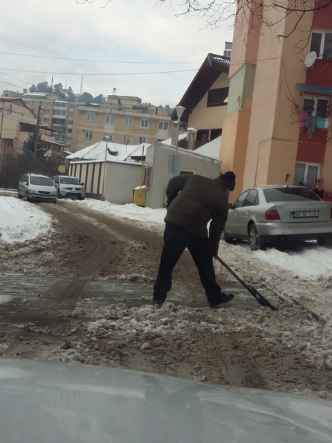 Poliţia Locală Piatra Neamţ, intransigentă în… comunicate de presă, ZCH NEWS - sursa ta de informații